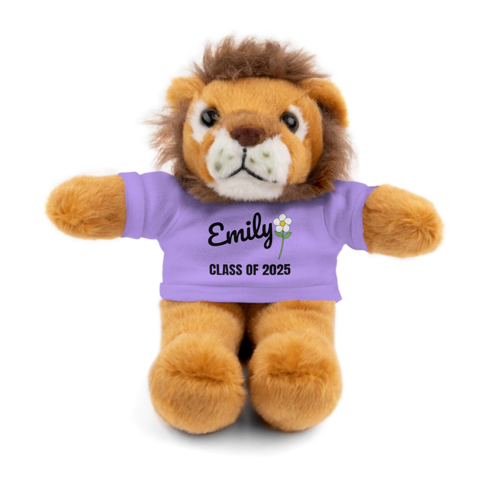 Personalized Graduation Bear – Class of 2024 Plush Keepsake Gift - Etsy