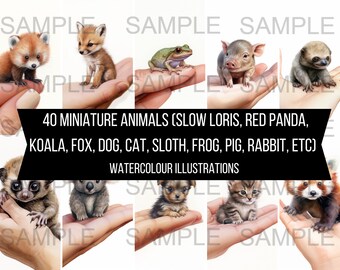 40 miniatuur dierlijke kunst instant digitale download artwork clipart afbeeldingen aquarel illustraties (incl. hond, kat, vos, luiaard, langzame lori)