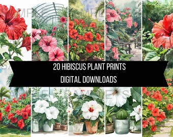 20 Hibiscus plant bloem illustraties kunst instant digitale download artwork clipart afbeeldingen aquarel prints