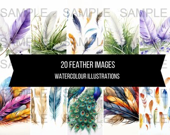 20 foto's van veren kleurrijke tekening aquarel illustraties kunst instant digitale download artwork clipart afbeeldingen