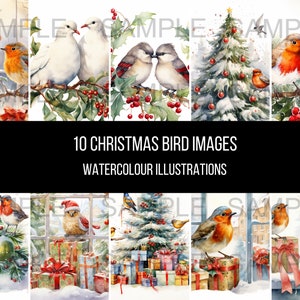 10 Christmas Bird images art instant digital download artwork clipart images watercolour illustrations