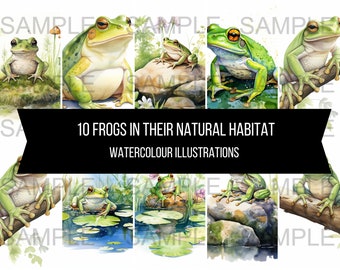 10 Kikker beelden kunst instant digitale download artwork clipart afbeeldingen aquarel illustraties