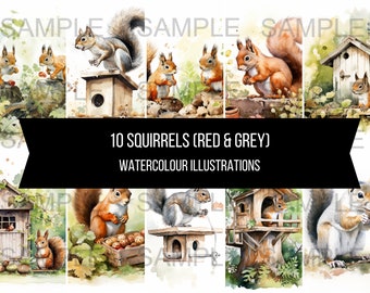 10 eekhoorn foto's kunst instant digitale download artwork clipart afbeeldingen aquarel illustraties