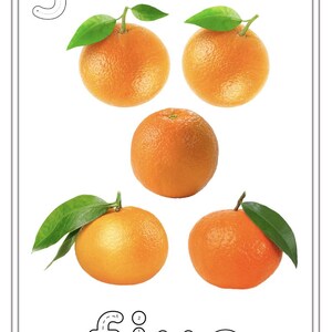 Puede incluir: Una hoja de trabajo para aprender a contar con el n&uacute;mero 5. La hoja de trabajo muestra el n&uacute;mero 5 con l&iacute;neas punteadas para trazar. Hay cinco naranjas con hojas verdes debajo del n&uacute;mero. La palabra "cinco" est&aacute; escrita debajo de las naranjas con l&iacute;neas punteadas para trazar.