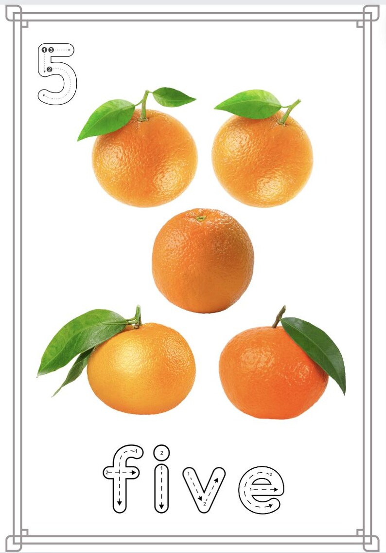 Puede incluir: Una hoja de trabajo para aprender a contar con el n&uacute;mero 5. La hoja de trabajo muestra el n&uacute;mero 5 con l&iacute;neas punteadas para trazar. Hay cinco naranjas con hojas verdes debajo del n&uacute;mero. La palabra "cinco" est&aacute; escrita debajo de las naranjas con l&iacute;neas punteadas para trazar.