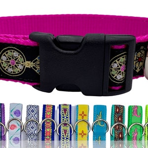 Queen Jewel on Fuchsia - 1” Wide Dog Collar
