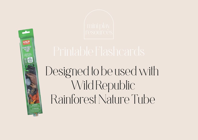 Printable Rainforest Animal Cards Wild Republic Matching Cards