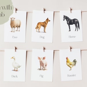 Printable Farm Animal Toob Karten | Toob Passende Karten | Montessori Karten, Lernkarten, Lehrkarten | Sofort Download