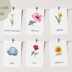 Druckbare Blumen Toob Karten | Toob Passende Karten | Montessori Karten, Lernkarten, Lehrkarten | Sofort Download