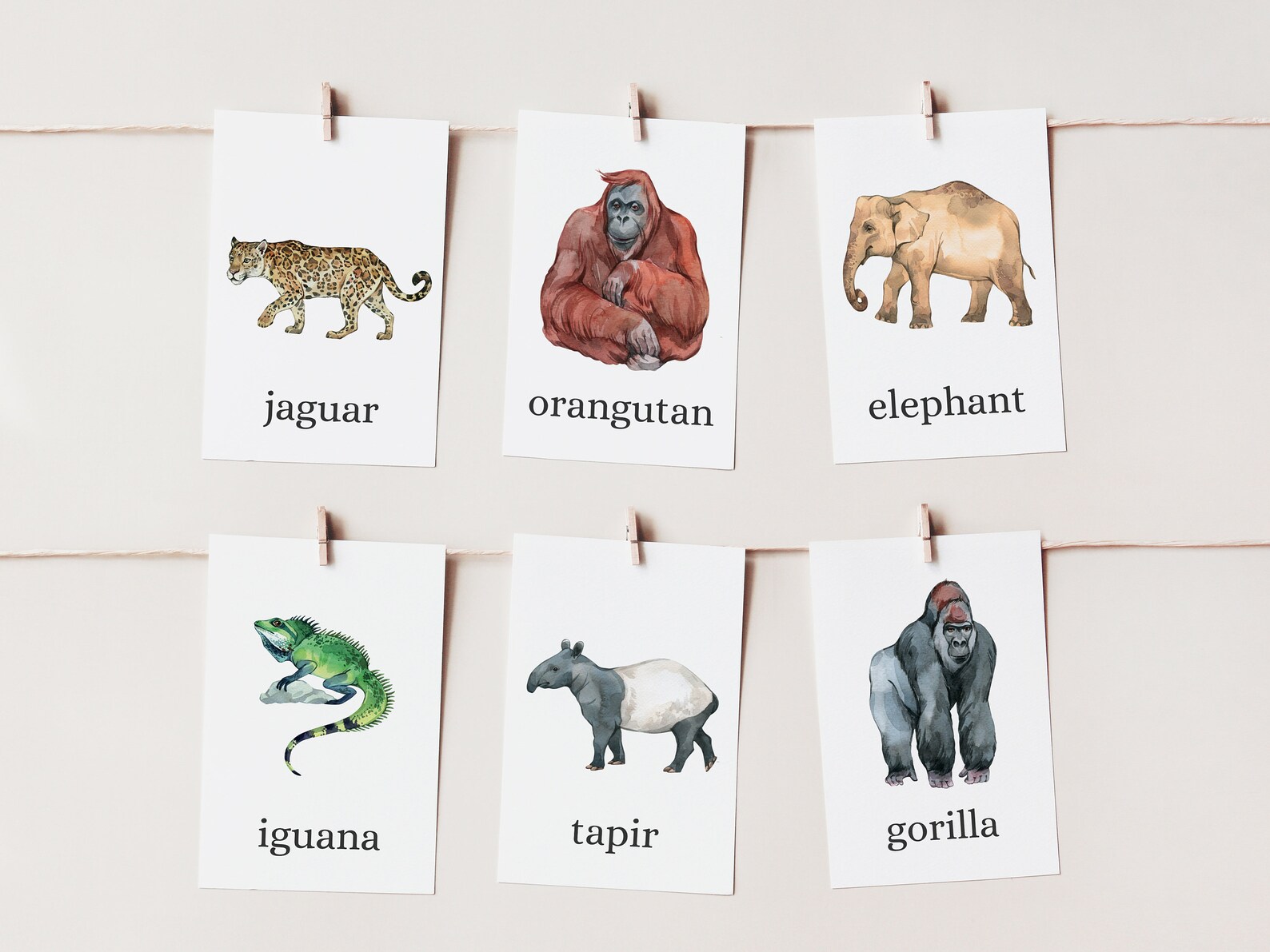 Printable Rainforest Animal Cards Wild Republic Matching - Etsy
