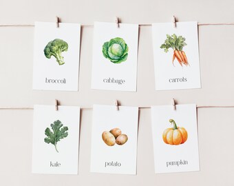 Op de afbeelding: Zes witte kaarten met aquarel illustraties van verschillende groenten, elke kaart heeft de naam van de groente onder de afbeelding. De groenten zijn broccoli, kool, wortelen, boerenkool, aardappel en pompoen.