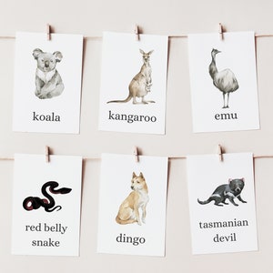 Druckbare Australien Tierkarten | Wild Republic Passende Karten | Montessori Karten, Lernkarten, Lehrkarten | Sofort Download