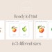 Printable Fruit Card Set | Digital Fruit Prints | Montessori Cards ...
