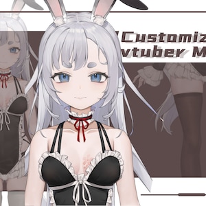 Custom Vtuber Live2D-modelcommissie (virtueel YouTuber-model) Vtuber Design / Rigging / Fan Art Commission / Vtuber Streamer / Vtuber