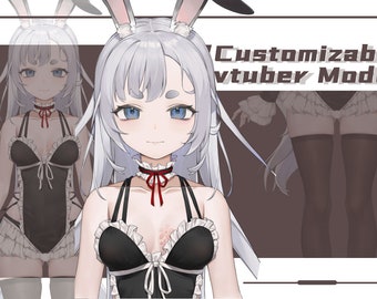 Custom Vtuber Live2D Model: Design, Rigging, and Fan Art