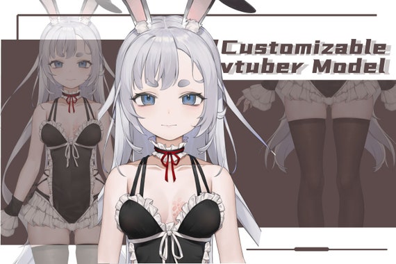Custom Vtuber Live2D Model: Design, Rigging, and Fan Art
