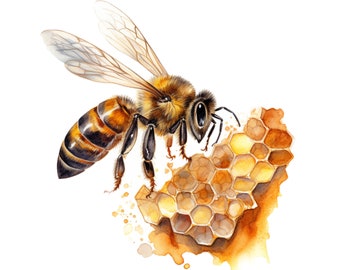 Watercolor Bee Clipart - instant download PNG format bee clipart for commercial use