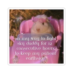 Nurse Humor, Nurse Sticker, RN Sticker, nursing student sticker, healthcare humor, nurse, RT