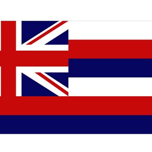 Hawaii State Flag 3&#39;x5&#39; Flag - Hawaii State - Premium Polyester 36 x 60 inch with Brass Rings