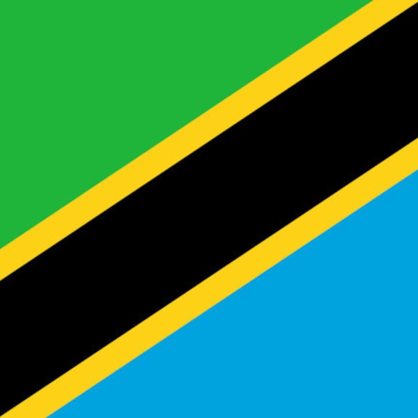 Tanzania Flag 3'x5' Flag - Flag of Tanzania - Premium Polyester 36 x 60 inch with Brass Rings