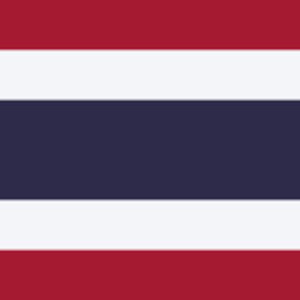 Drapeau de la Thaïlande 3'x5' - Drapeau de la Thaïlande - Polyester de qualité supérieure 36 x 60 pouces avec anneaux en laiton