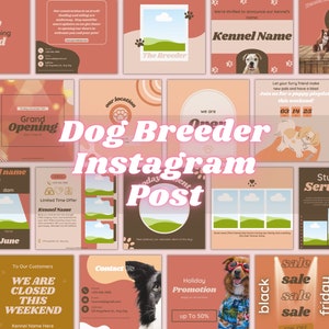 Pets Instagram Post Templates, Instagram Pets Template, Dog Store, Dog Business Branding, Kennel Instagram Branding, Dog Breeder Instagram
