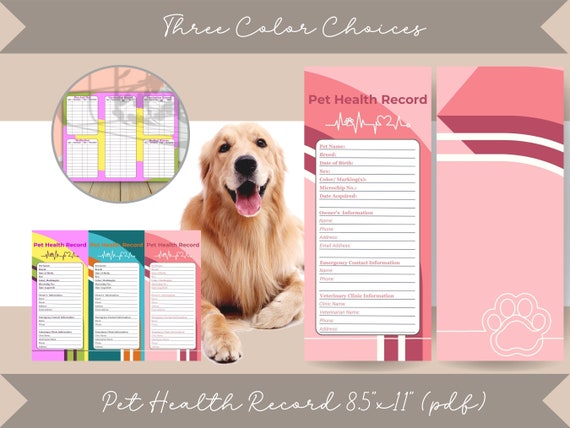 Dog Health Record: Essential Tips for Pet Owners