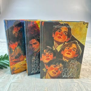 All The Young Dudes Hardcover Fanfiction Set – BookTok Viral Wizard School Story, Aesthetic Collector Books, Readers Gift