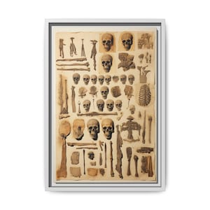 Lámina de arte arqueológico, calaveras, herramientas antiguas, póster de restos primitivos, decoración minimalista de historia.