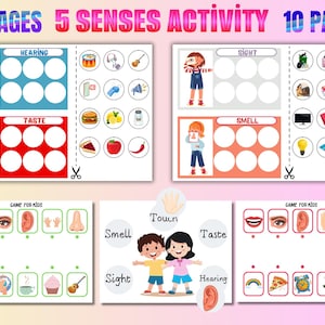 Five Senses Sorting Activity,5 Senses Sorting,Five Senses Worksheets,Five Senses Printable,Preschool Science,Toddler Busy Book,Matching Game