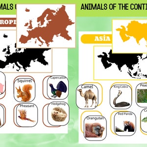 Descubre animales de todo el mundo: Continente educativo y página de animales para niños / Montessori / Preescolar / Geografía - DIGITAL