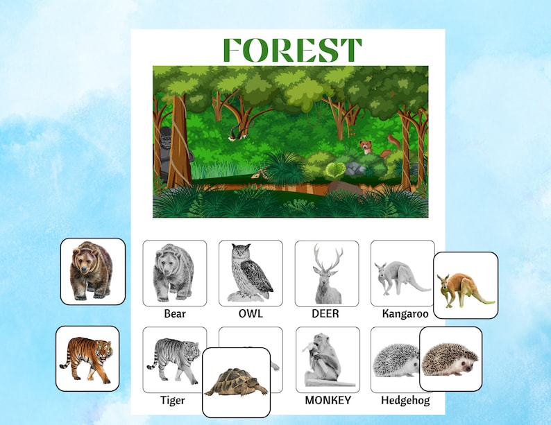 Animal Habitat Activity Habitat Match Realistic Animal Activity homeschool habitat Sorting