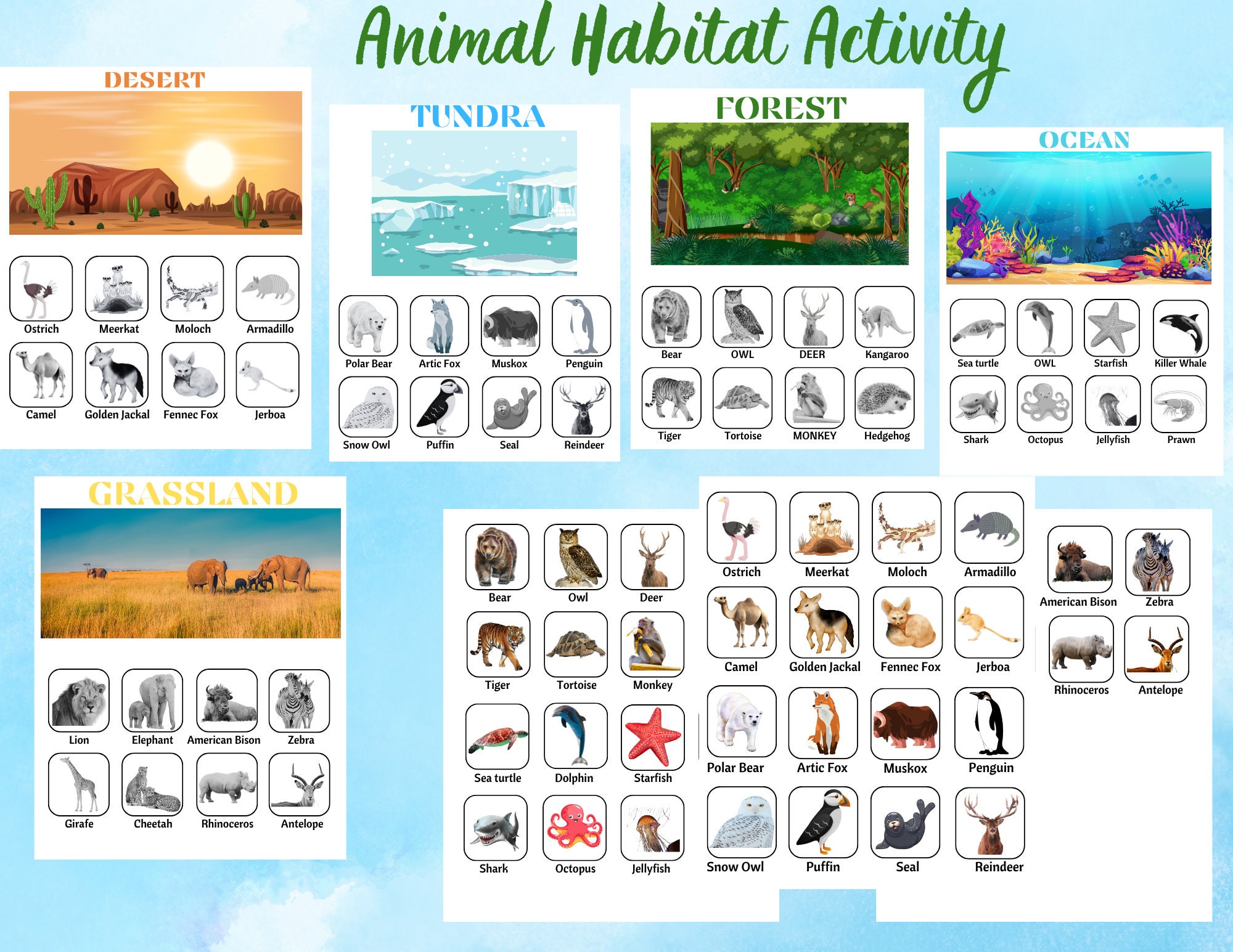 Animal Habitat Activity Habitat Match Realistic Animal Activity