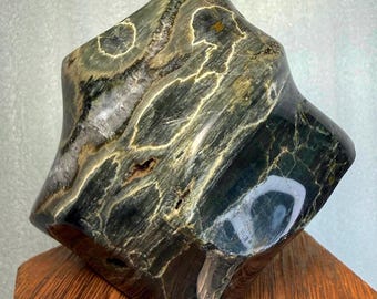 8th Vein Ocean Jasper Flame “perfect Xmas Tree” Deep Rich Dark