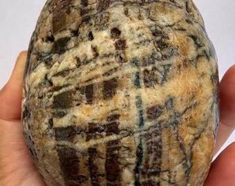 Hand-Collected Arizona Desert Decorative Stones | Natural Landscape Rocks | Authentic Sonoran Desert Specimens | Home Décor |Collector Stone
