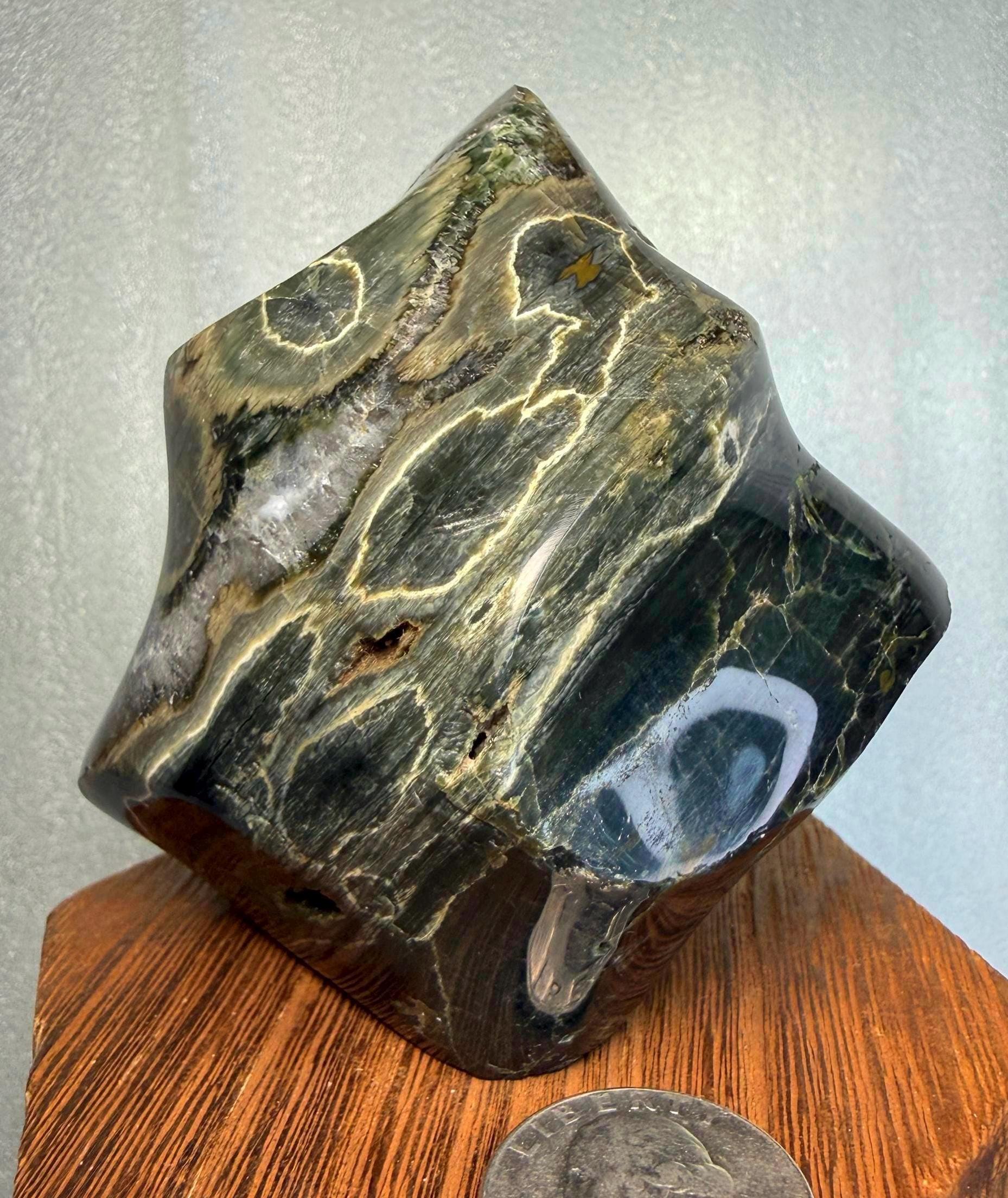 8th Vein Ocean Jasper Flame “perfect Xmas Tree” Deep Rich Dark