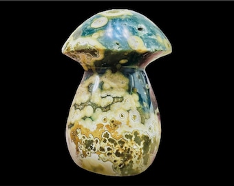 8th Vein Ocean Jasper Mushroom: Madagascar Orbicular Sea Jasper Specimen