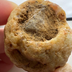 Fossilized Egg Specimen – Rare Natural Formation - Pima County, AZ