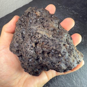 Peut inclure: Une roche poreuse brun foncé avec une texture rugueuse. La roche présente de nombreux petits trous et une surface légèrement inégale. La couleur est un mélange de brun foncé et de noir, avec quelques zones plus claires. La roche est tenue dans une main.