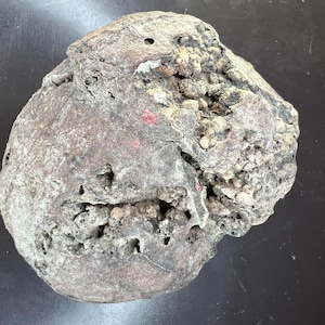 Thunder Egg Nodule – Pima County, AZ