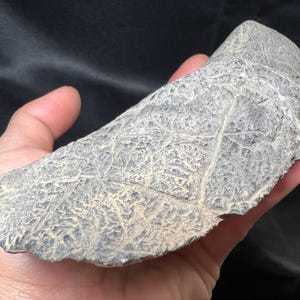 Native Indian Stone Tool | Indian Ancient Hand  Tool | Native Indian Stone Axe | Indian Artifacts