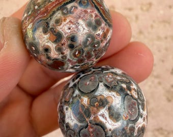 Premium Orbicular Leopard skin Jasper 1 inch Spheres - 2 pcs | Polished Fish Eye Jasper | Leopardite | silicified rhyolite | Jaguar Stone