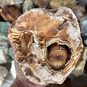 Premium Quality Large Madagascar Agate Nodule – Complete Nodule Specimen – ROUGH – Free Shipping