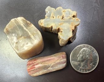 3-Piece Lot Arizona Agatized Petrified Wood Pocket Stones
