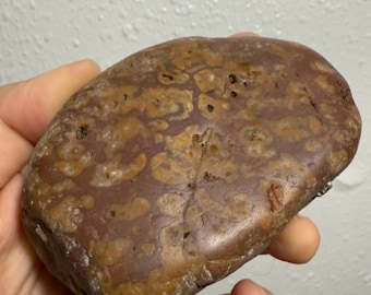 Porphyry Stone Volcanic Rock with Gray-White Rhomb Phenocrysts in Red-Brown Matrix | Natural Arizona Specimen