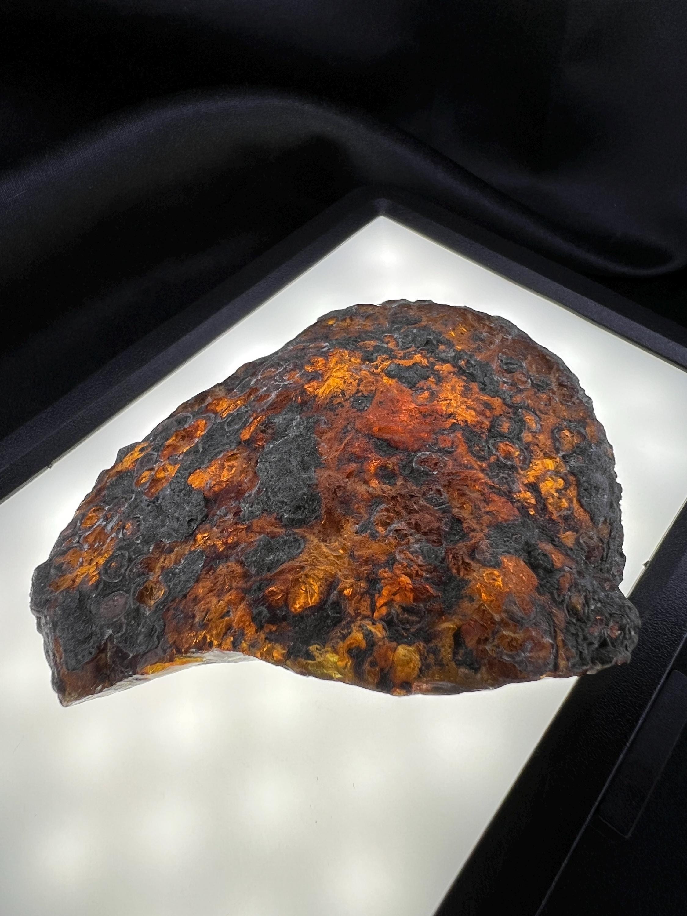 Large Raw Chiapas Amber: Natural Fosilized Ancient Tree Resin