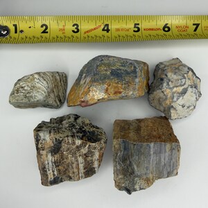 アリゾナ州産装飾瞑想石｜ソノラ砂漠のエネルギーヒーリングストーン｜コレクション、庭、水槽の装飾に最適 - 5個セット