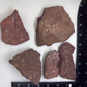 Könnte beinhalten: Fünf unregelmäßig geformte, rotbraune Steine mit strukturierten Oberflächen. Die Steine variieren in der Größe, wobei der größte etwa 20 cm lang ist. Ein schwarzes Lineal mit weißen Markierungen ist zur Maßstabsbestimmung sichtbar.