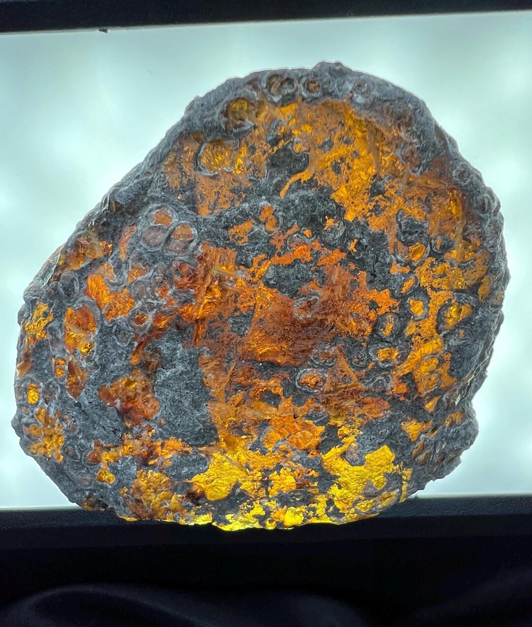 Large Raw Chiapas Amber: Natural Fosilized Ancient Tree Resin