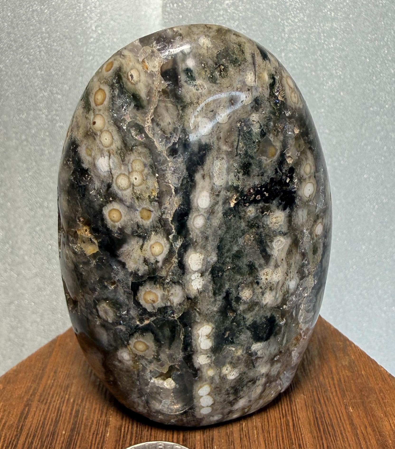 8th Vein Eye Ocean Jasper Freeform: Madagascar - Breathtaking